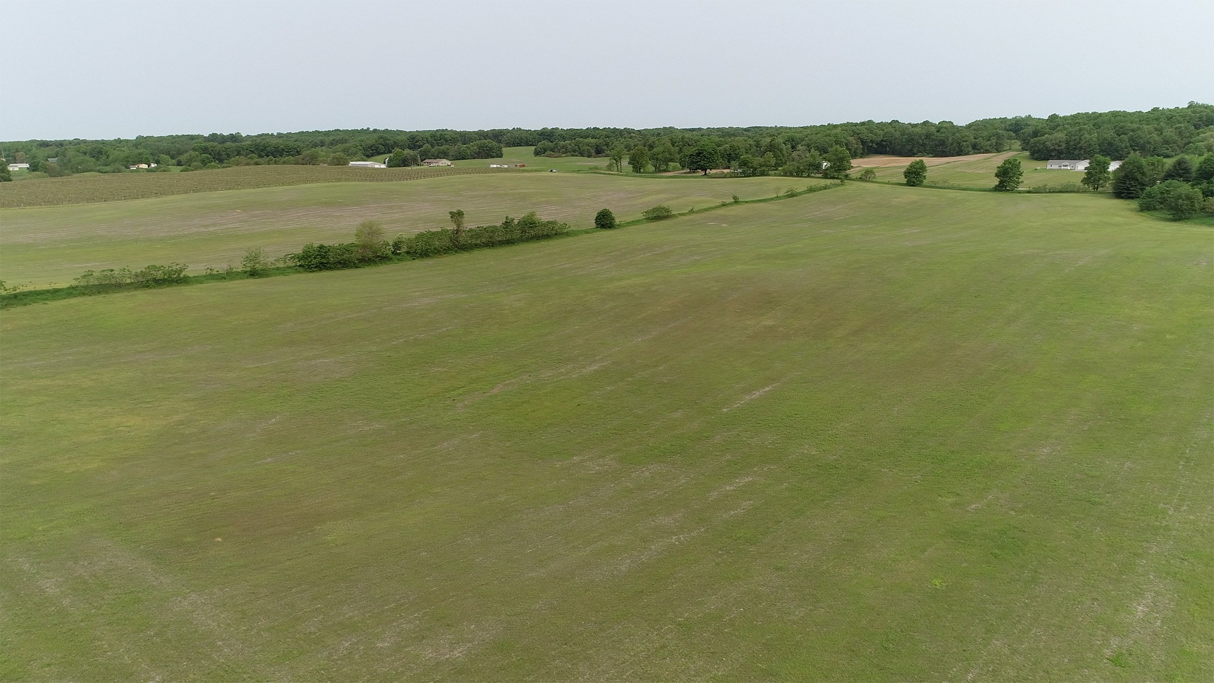 Van Buren County, Michigan farmland - LAND AUCTION - 194+/- ACRES OFFERED IN 5 TRACTS IN VAN BUREN COUNTY, MICHIGAN